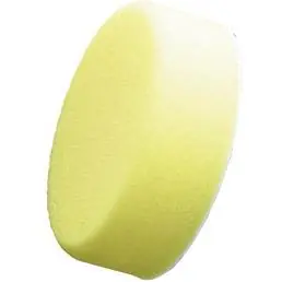 Kampanjpris Polersvamp